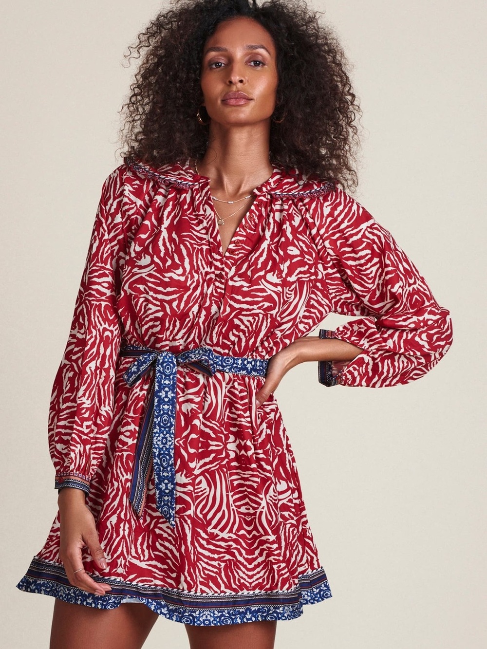 THE SHIRT BY ROCHELLE BEHRENS The Taylor Dress - Picture 2 of 14